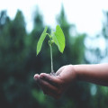 Hoe draagt groene zorg bij aan een duurzame toekomst?