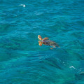Waarom is de natuur op Zakynthos zo mooi?