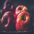 Wat betekent 'de appel valt niet ver van de boom' en waar komt het vandaan?