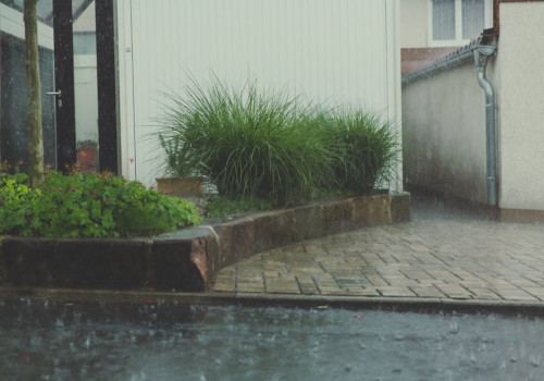 Hoe gezond is regenwater om te drinken in 2025?