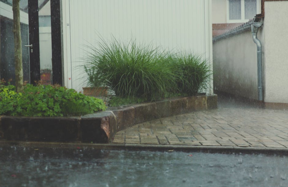 Hoe gezond is regenwater om te drinken in 2025?