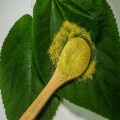 De gezondheidsvoordelen van kratom? Lees hier alle ins en outs!