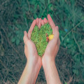 Hoe groene zorg bijdraagt aan een gezondere toekomst