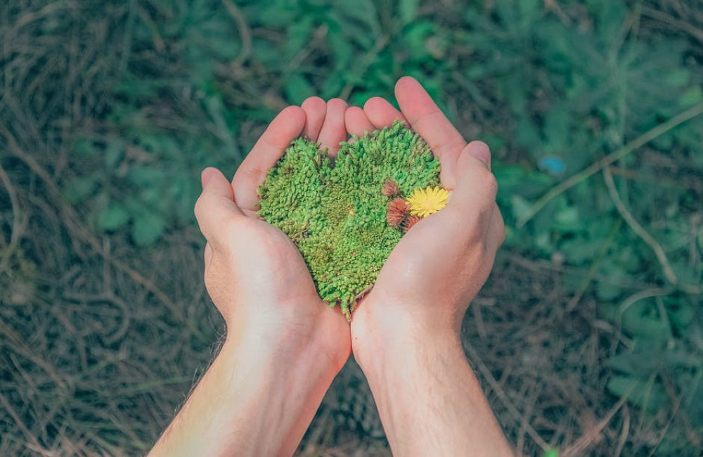 Hoe groene zorg bijdraagt aan een gezondere toekomst