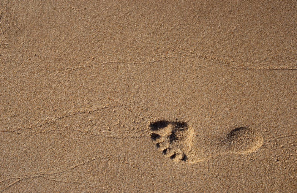 Wat is een ecologische voetafdruk en hoe kun je die verkleinen?