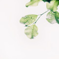 Hoe dragen groene keuzes bij aan een gezondere toekomst?