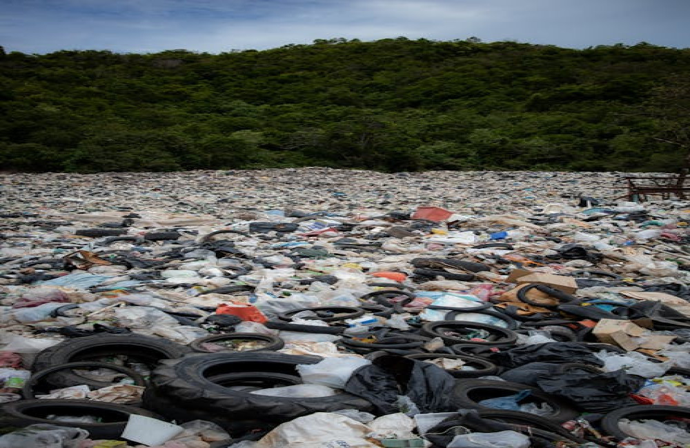 Wat is het verschil tussen composteerbaar en biologisch afbreekbaar plastic?