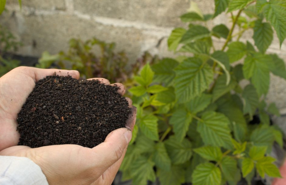Hoe houd je je composthoop in een hete zomer zonder stank en fruitvliegjes?
