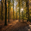 Hoeveel vitamine D heb je vanaf oktober nodig als je in Nederland binnen werkt?