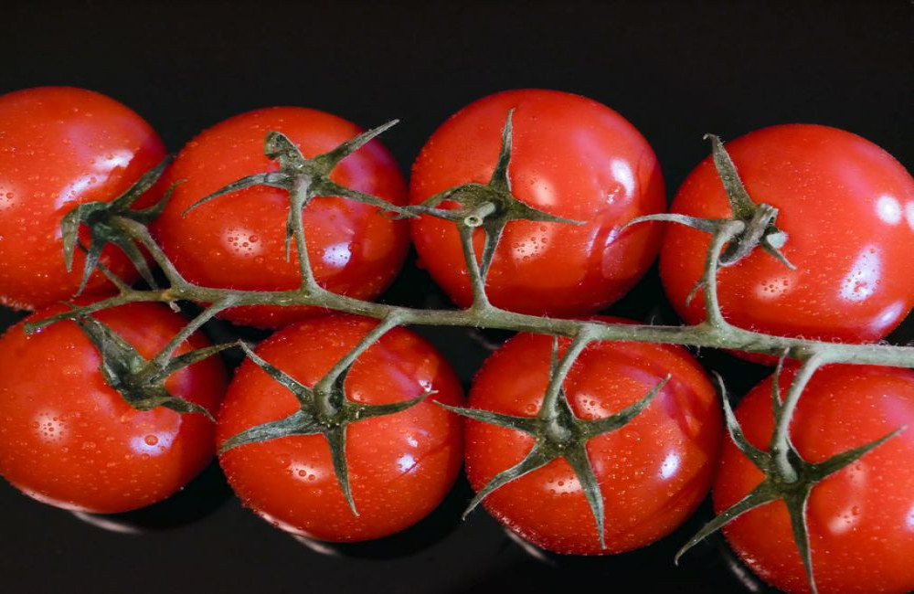 Waarom krijgen tomaten bruine plekken aan de onderkant en hoe voorkom je neusrot?