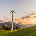 Wat is het verschil tussen biologisch en ecologisch voedsel?