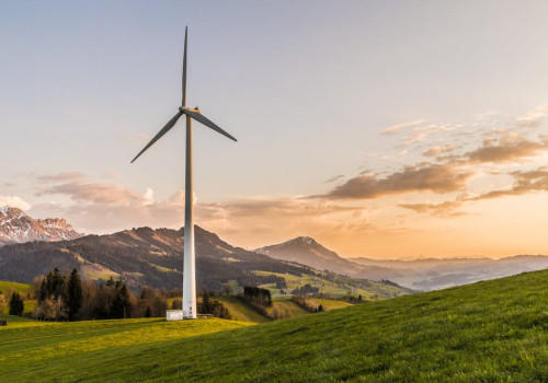 Wat is het verschil tussen biologisch en ecologisch voedsel?