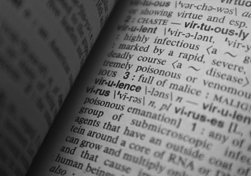 Is het ‘verstandig’ of ‘verstandigt’? Wij leggen het verschil uit