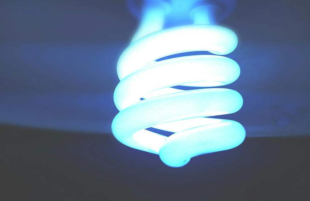 Dit is waarom kweken met LED groeilampen zorgt voor een revolutie in de branche