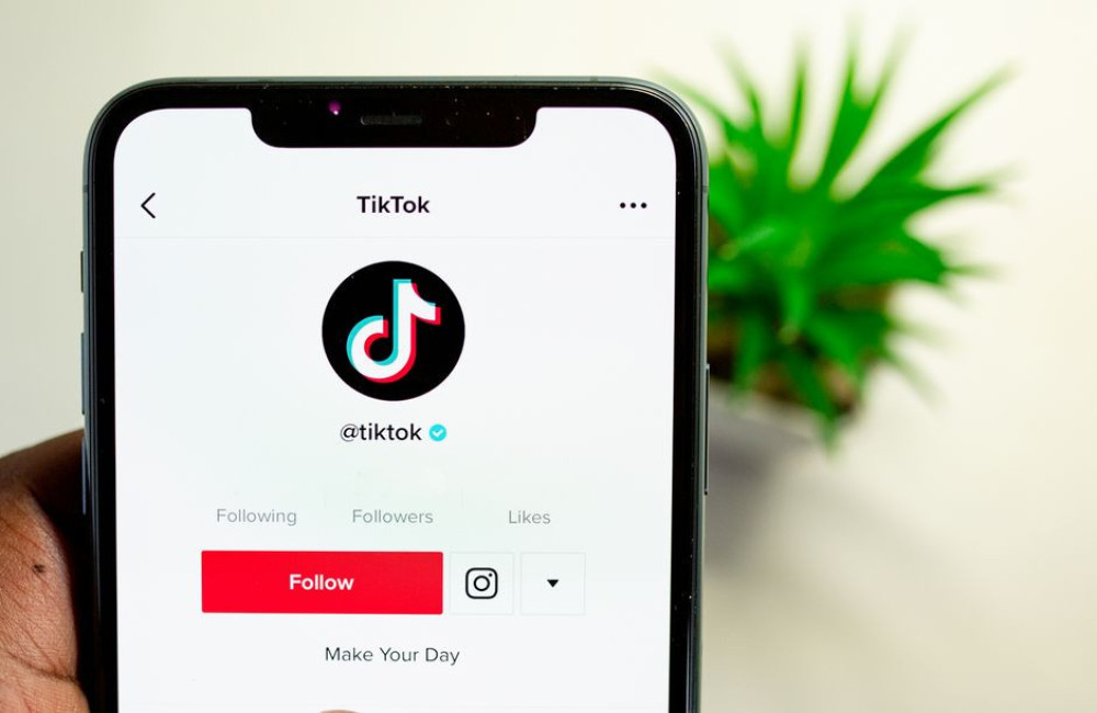 TikTok downloaden zonder watermerk: reistips voor Nederland offline bewaren