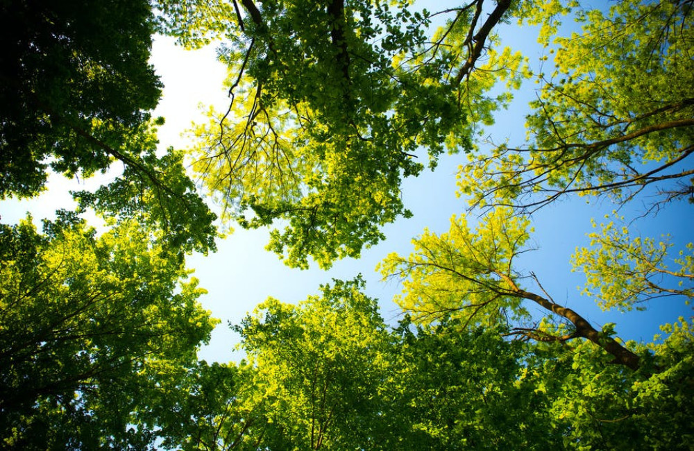 Wat betekent groen - Groene-zorg.nl